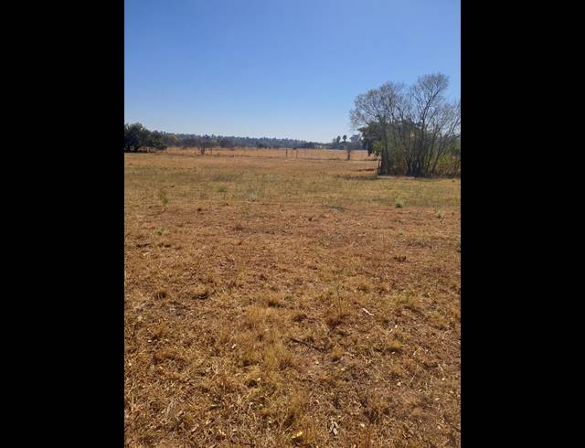 6HA SMALLHOLDING FOR SALE IN BOSCHFONTEIN AH
